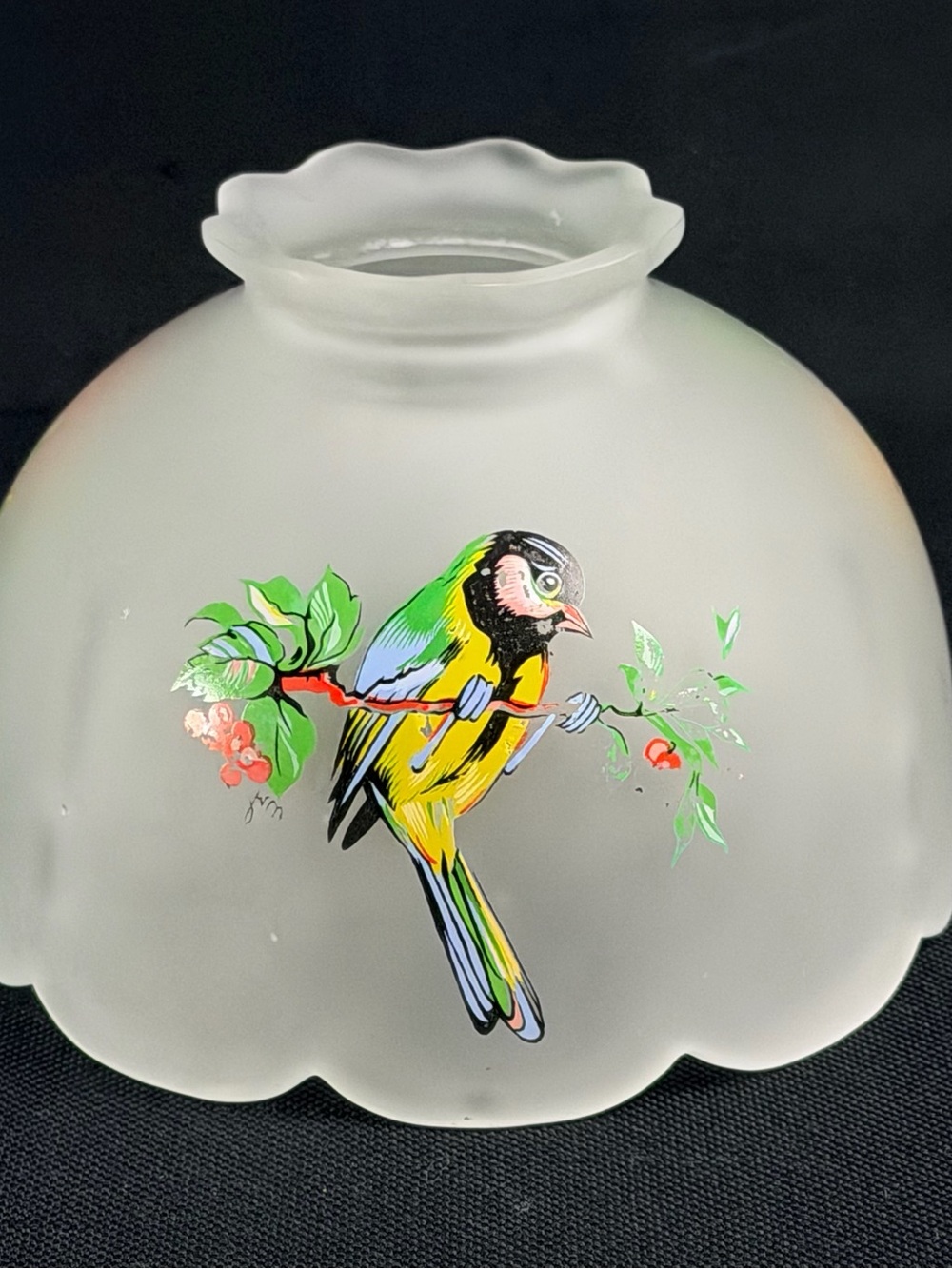 Westmoreland Frosted Glass Lamp Shade with Multicolor Parrot
